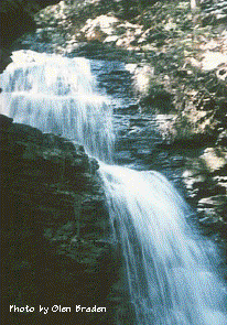 Bushkill Falls