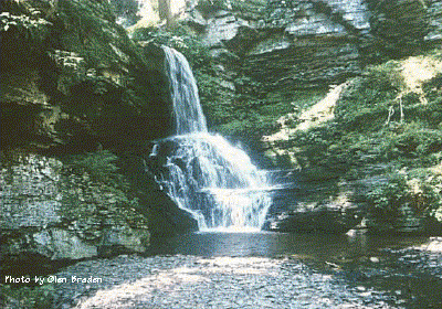 Bushkill Falls