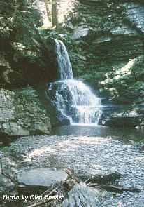 Bushkill Falls