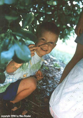 Timothy